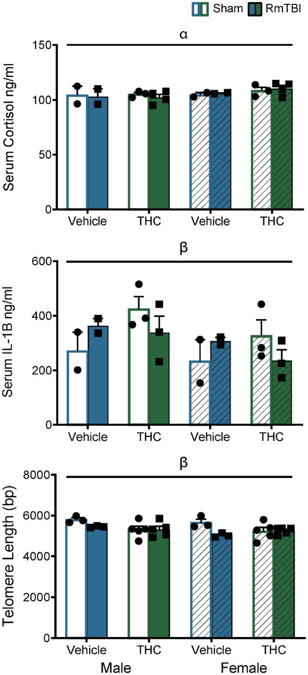 Graphical depictions of the ELISA serum cortisol and IL1B in addition to the telomere lengths displayed as means ± SEM for the post-injury THC administration groups. White and white hashed bars display sham groups (males and females, respectively), while blue and green bars display RmTBI groups. Statistical significance symbols are displayed above the bars (α) indicates a main effect for sex, (β) indicates a RmTBI by THC interaction.