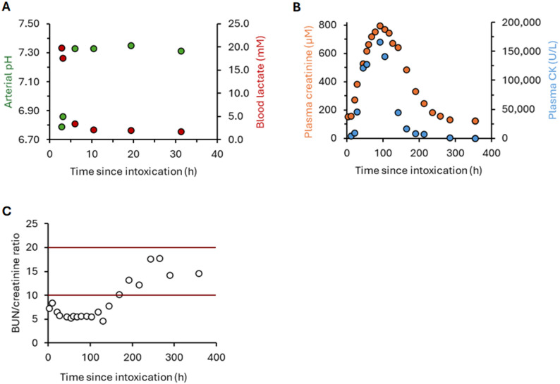 Time-course of the biochemical parameters. The patient was admitted to the ICU with a transient severe lactic acidosis (A), followed by rhabdomyolysis-induced acute kidney injury, as evidenced by the increase in plasma creatinine and creatine kinase (CK) (B) associated with the decrease in blood urea nitrogen (BUN)/plasma creatinine ratio (C). All metabolic and kidney dysfunctions observed in this poisoned patient progressively recovered with supportive care.
