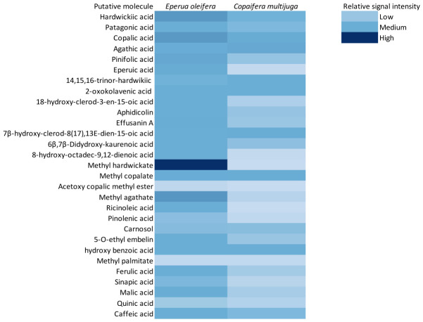 Heatmap showing the relative signal intensity of tentatively annotated diterpenic acids, their corresponding methyl esters, and related compounds detected by DART-HRMS in Eperua oleifera and Copaifera multijuga. The color scale represents relative signal intensity under identical experimental conditions (low to high). Values are qualitative and should not be interpreted as an absolute or quantitative composition.