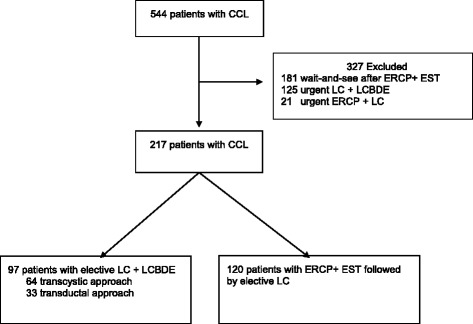 Flow chart of patients. CCL = cholecystocholedocholithiasis