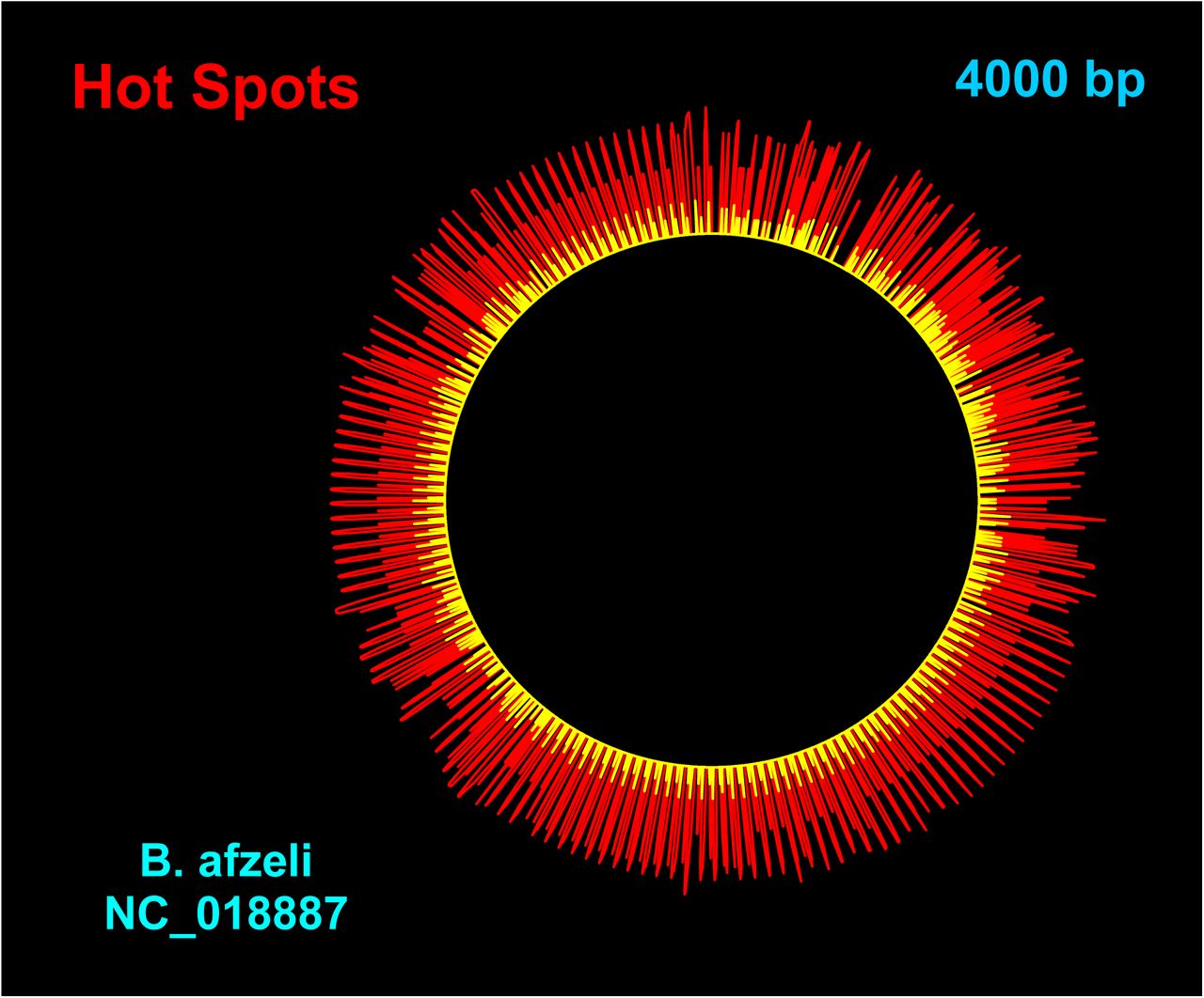 Example of hot spots highlighted on the circular genome of Borrelia afzeli. Red signifies pyrimidine hot spots where three or more pyrimidines are clustered. Yellow signifies hot spots at purine bases.