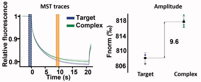MST binding check performed on 100 nM hVDAC1 with (green), or without (blue) 250 µM VBIT4.