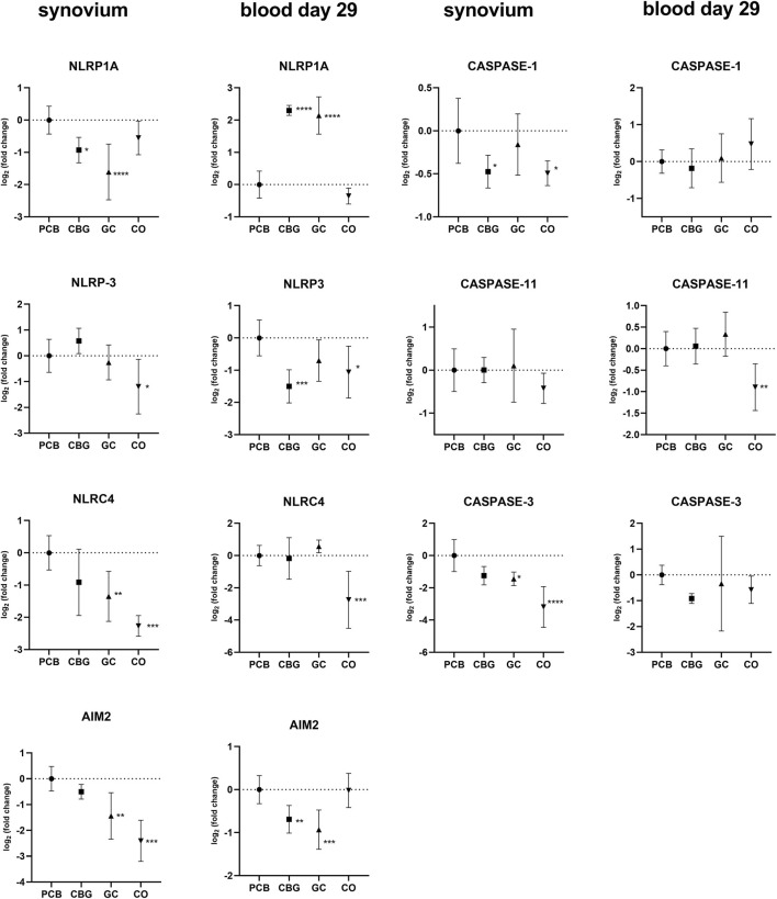 Nine line graphs compare gene expression changes between synovium and blood on day twenty-nine for several genes: NLRP1A, CASPASE-1, NLRP3, CASPASE-11, NLRC4, CASPASE-3, and AIM2. Each graph shows log2 fold change across groups PCB, CBG, GC, and CO, marked with statistical significance. Dotted lines indicate baseline expression.