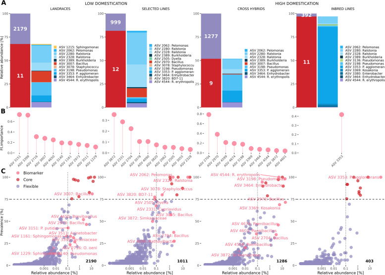 Abundance, taxonomy, and prevalence of core microbiome across domestication grades. A Cumulative relative abundance and richness of core (red) and flexible (violet) amplicon sequence variants (ASVs) and taxonomy of the core microbiome at the ASV level. B Top 10 ASVs (features, ft.) ranked according to their contribution to the gradient-boosted tree classification in the different domestication grades. Higher mean absolute SHAP values indicate higher importance for classification (AUC = 93.6% ± 0.0043%). C Abundance-occupancy curves showing the core (red) and flexible (violet) fractions of the microbiome as well as the identified biomarkers (pink)
