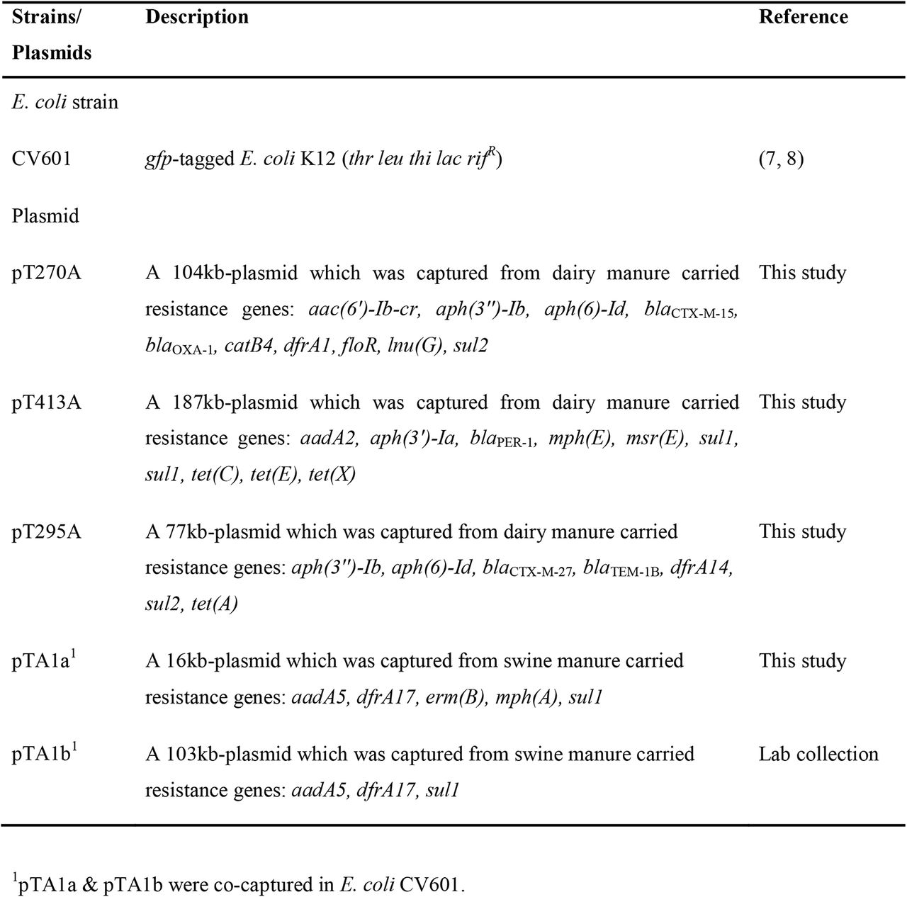 List of E. coli strains used in this study