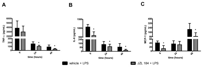 JZL184 effects in cytokines/chemokines concentration in the bronchoalveolar lavage fluid.(A) TNF-α, (B) IL-6 and (C) MCP-1. Data are mean ± S.D., n=5-8 mice/group. *p<0.05 in relation to C2 group. Mann Whitney U test for two groups comparisons.