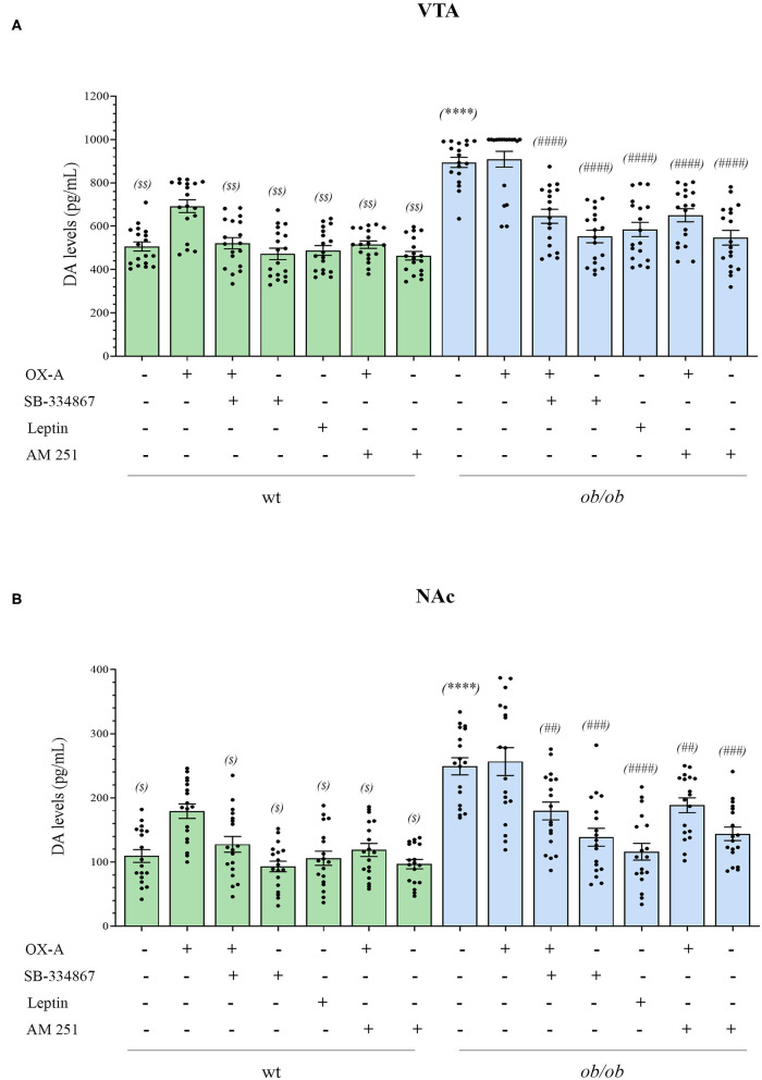 Bar graph of dopamine levels in the VTA (A) and NAc (B) of wt lean (green bars) and ob/ob obese (blue bars) mice. Data are means ± SEM from n ≥ 18 VTA or Nac sampled by punch microdissection (~1.5 mm diameter) from each brain hemisphere of a mouse, n = 9 mice/genotype per group; $P < 0.05, $$P < 0.005 wt+vehicle or wt treated vs. wt+OX-A vs. mice; ****P < 0.0001 ob/ob vs. wt mice; ##P < 0.005, ###P < 0.001, ####P < 0.0001 ob/ob treated vs. ob/ob+vehicle; two-way ANOVA followed by post hoc Tukey test.