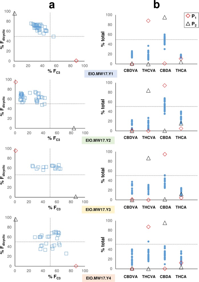 Chemotypic distributions of four F1 hybrid families. (a) Chemotypic distribution patterns of dicyclic and C3 alkyl cannabinoid composition within the total cannabinoid fraction. F1 chemotypes are intermediate to the parents, although discrete linage-specific distribution patterns are evident between families. (b) Compositional range of cannabinoids from individual plants within F1 hybrid families. Blue squares represent chemotypes of individual plants within F1 families; Blue circles represent cannabinoid composition of individual plants within F1 families; Red diamond represent female parent (P1); Black triangle represent male parent (P2); C3 alkyl cannabinoid fraction (FC3); dicyclic cannabinoid fraction (Fdicyclic).