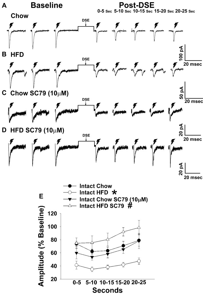 HFD intensifies the reduction in eEPSC amplitude caused by postsynaptic depolarization, which is abrogated by Akt activation. The reduction in eEPSC amplitude caused by the DSE seen in chow-fed animals (A; n = 9) is further amplified in HFD-fed animals (B; n = 5). The reduction in eEPSC amplitude caused by postsynaptic depolarization seen during recordings in slices taken from chow-fed animals is unaffected by pretreatment with the Akt activator SC79 (10 μM; C; n = 6). However, the heightened retrograde signaling observed in slices from HFD-fed animals (B) was completely abolished with SC79 (D; n = 5). The composite line graph further illustrates the heightened postsynaptic depolarization-induced reduction in eEPSC amplitude caused by the HFD, and the impact of reduced PI3K/Akt signaling on the augmented EC tone (E). Lines represent means and vertical lines 1 SEM. *P < 0.05 relative to chow-fed animals; rank-transformed multifactorial ANOVA/LSD. #P < 0.05 relative to vehicle-treated slices; rank-transformed multifactorial ANOVA/LSD.