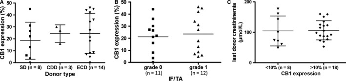 Cannabinoid receptor 1 expression on preimplantation biopsies was not associated with donor characteristics. A, CB1 expression was similar by donor type. B, CB1 expression was not associated by IF/TA on preimplantation biopsies. C, Donor creatininemia at time of organ removal was not associated with CB1 expression. Abbreviations: CDD, cardiac death donor; ECD, extended criteria donor; IF/TA, interstitial fibrosis and tubular atrophy; SD, standard donor