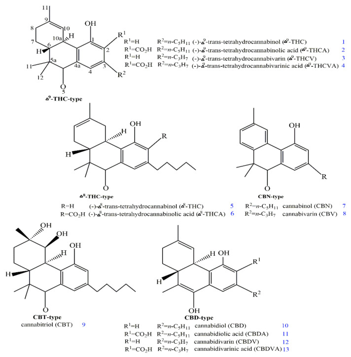 The structures of various phytocannabinoids derived from C. sativa (created with ChemDraw Professional).