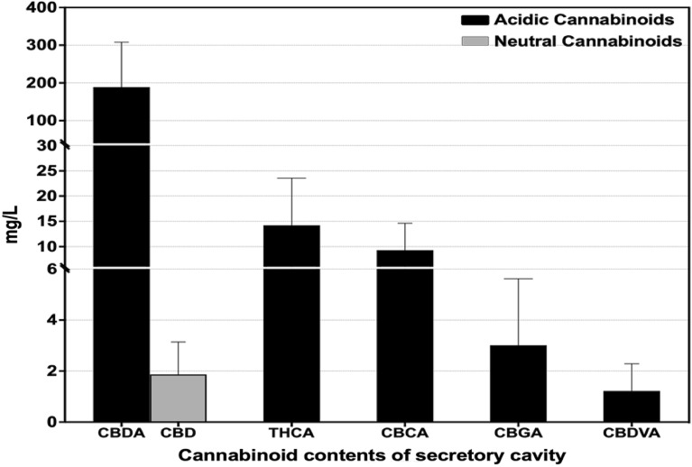 Cannabinoid profile of the secretory cavity contents acquired by glass microcapillaries.