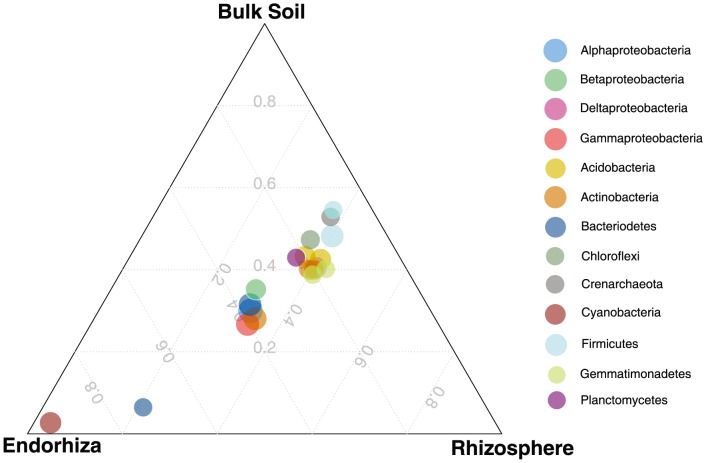 Ternary plot of distribution of bacterial taxonomic groups among sample types in the second experiment.Size of circles proportional to the log of the total abundance, taxonomic groups are all phylum-level, except for Proteobacteria, which is by class.