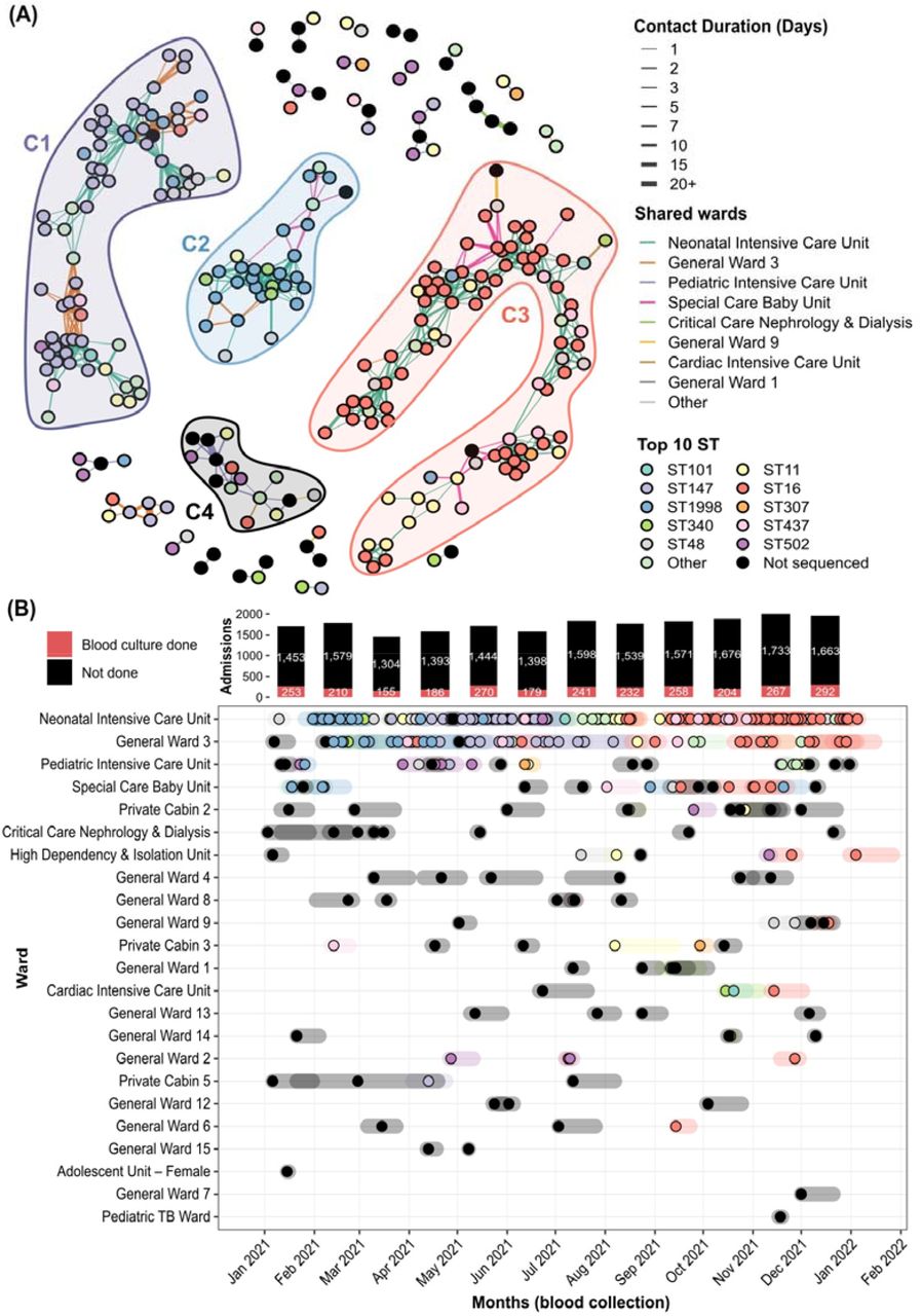 Complete ward-level contact network of KpSC culture-positive cases at BSHI in 2021.(A) Ward-level contact network of all 268 non-singleton KpSC isolates with nodes coloured by STs and edges indicating shared wards (where contacts occurred) and contact days between two indivuduals. The four major components C1-C4 are coloured by the top MLST. (B) Ward-level KpSC culture positive cases (n= 373) in 2021 with nodes coloured by STs. The coloured transparent bars across each nodes are highlighting admission to discharge dates for each individual. Total number of admissions and blood culture done at BSHI in 2021 are shown on the top bar chart.