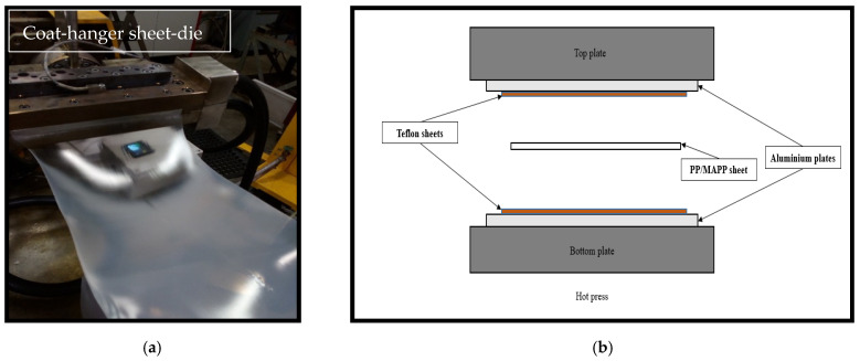 (a) The PP/MAPP sheet extrusion using a Labtech twin-screw extruder. (b) Schematic representation of reduction of sheet thickness in a hot press.