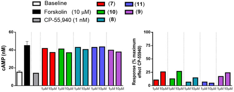 Effect of NSAID-pyrazolamides 7–11 on cyclic AMP intracellular concentration of CB1-transfected CHO cells. Data represent results from single replicates.