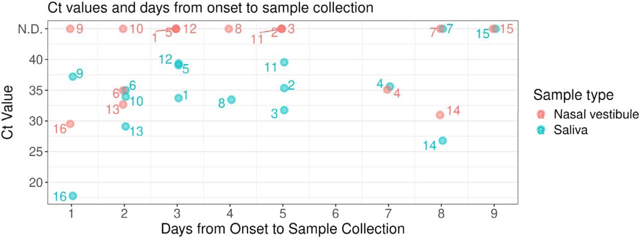 Comparison of RT-qPCR Ct values with time from symptom onset to sample collectionDays from onset to sample collection are shown on the x-axis, and Ct values are on the y-axis.Blue and pink circles represent saliva and nasal vestibular samples, respectively.