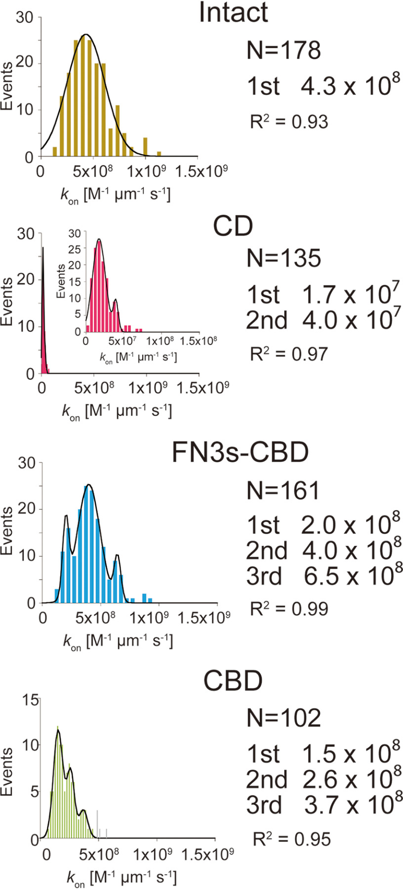 Binding rate constants (kon) analysis of Intact, CD, FN3s-CBD, and CBD of CfCel6B. Distributions of kon were fitted by Gaussian functions. Peak values of Gaussian fitting are shown in right. The N values represent numbers of cellulose microfibrils analyzed.