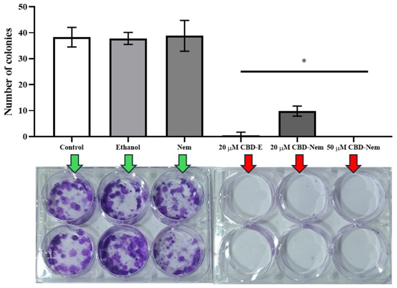 Clonogenic assay in CF41.Mg cells treated with CBD-Nem. Quantification of the number of cell colonies after 20 days of culture. Experimental conditions: control (culture medium), ethanol, Nem, CBD-E 20 µM, and CBD-Nem 20 and 50 µM (n = 3, mean ± S.D., * p ≤ 0.0001 relative to the control). Below the graph, a representative photograph of the plaque at day 20 can be appreciated (each column represents a duplicate in the same plaque).