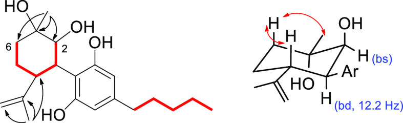 Diagnostic 2D NMR correlations detected for 6. (Left) COSY (red bolded) and key HMBC (arrows) correlations. (Right) Key NOESY (red arrows) correlations.