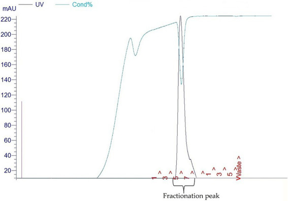 Fast protein liquid chromatography chromatograms (FPLC) of E34 TSP.