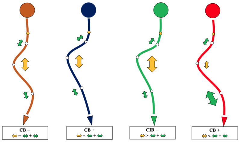 The surgical algorithm for each type of coronal balance. The yellow arrow indicates thoracic curvature correction, and the green arrows indicate upper thoracic and thoracolumbar curvature correction. The larger the arrow, the greater the correction.