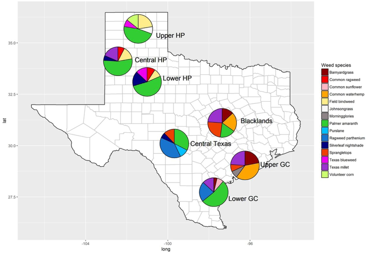 Map depicting the survey regions (major cotton-producing regions) of Texas and the top-five commonly occurring weed escapes in each region documented in the surveys.Abbreviations: HP, High Plains; GC, Gulf Coast. The pie charts show relative abundance (frequency points) of the top-five weed species in a particular region.
