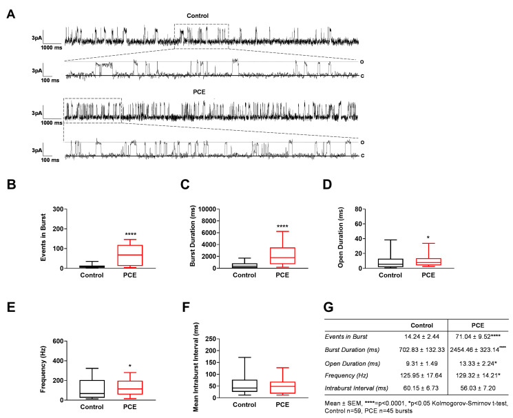 PCE alters single-channel burst properties of synaptosomal NMDARs. Bursts of channel activity were identified via visual inspection of recordings from single receptors. Burst delimiter was set based on the apparent length of closures between long bursts of single-channel activity as denoted on sample traces. (A) Comparison of control versus PCE burst activity. The top trace under each group is a 16,000 ms segment to represent long intervals used for burst analysis, whereas the bottom trace in each group is an expanded 3000 ms interval from within the top trace. The large dash boxes and lines indicate the location of the expanded trace within the compressed trace. Solid lines at the bottom of each trace represent closed state and dotted line at the top of each trace represents opened state. (B–F) Graphical representations of collective means ± SEM for events in burst, burst duration, open duration, frequency, and mean intraburst interval, respectively, as well as the individual values for each parameter from each burst was analyzed. PCE significantly increased the number of events within a given burst, the duration of bursts, the open duration of events within bursts, and the frequency of burst events, whereas having no effect on the mean intraburst interval. (G) Table of mean ± SEM values graphed in (B–F). n symbols represent means ± SEM from n = 59,5 bursts, n = 6,9 recordings, n = 4,5 receptors, and n = 2,3 animals from Control and PCE groups, respectively. **** p < 0.0001, * p < 0.05.