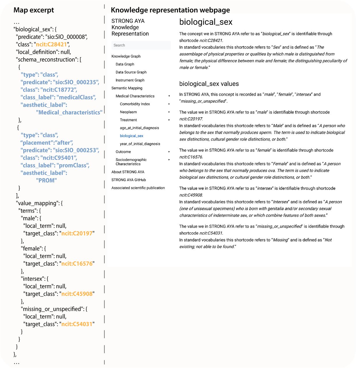 An excerpt of the AYA semantic map and of the AYA cancer knowledge representation. With in the semantic map excerpt the reference to standardised terminologies in bold orange font,