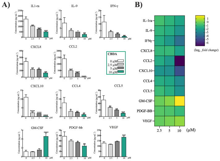 (A) Cytokines and chemokines profile in HaCaT cells treated with CBDA 2.5, 5 and 10 μM, and in untreated cells serving as control. Statistical analysis was performed using Graphpad Prism 8 software (Graphpad Software, La Jolla, CA, USA). The results were statistically analyzed using one-way ANOVA test followed by Dunnett’s Multiple Comparison Test. (*) p < 0.05; (**) p ≤ 0.01; (***) p ≤ 0.001 and (****) p ≤ 0.0001 indicate a statistically significant difference with controls. (B) Heatmap showing the log2 fold change of differentially expressed cytokines in culture media of HaCaT cells after treatment with CBDA. Color codes in each panel refer to blue for lower expression (down-regulation) and yellow for higher expression (up-regulation) levels.