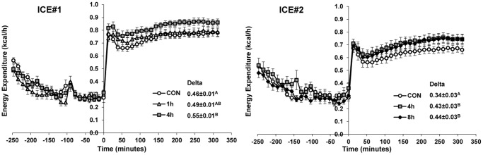 Prior cold exposure increases CL316243-induced energy expenditure.In ICE#1 (top) and ICE#2 (bottom), mice were placed in the individual chambers at 30°C at −250 minutes, injected CL316243 (100 µg/kg) at time 0 as described in Experimental Procedures. Energy expenditure was measured every 13 minutes. The initial metabolic rate peak seen in all groups is a stress response caused by handling. Inset shows the delta energy expenditure, calculated as the mean post-CL316243 (minutes 26 to 312) minus the mean pre-CL316243 (minutes −78 to 0) energy expenditure in kcal/h. Data are mean ±SE, N = 8/group. Levels not connected by same letter are significantly different (P<0.05).