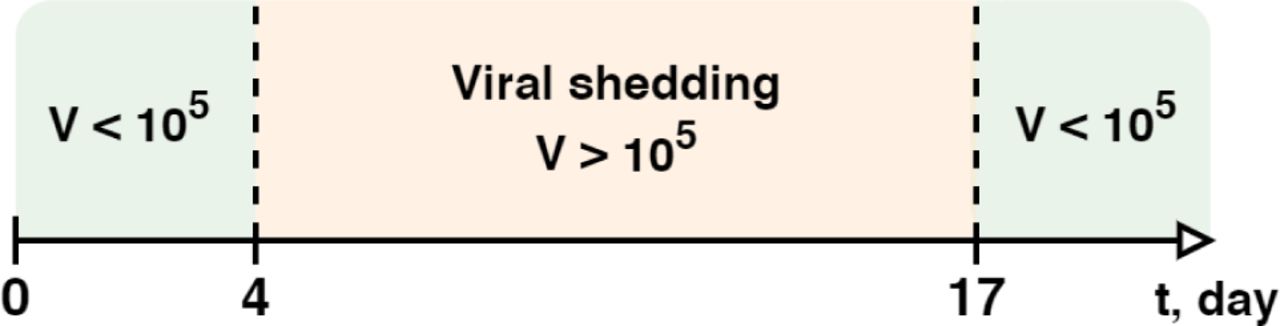 Viral shedding duration in the baseline model.
