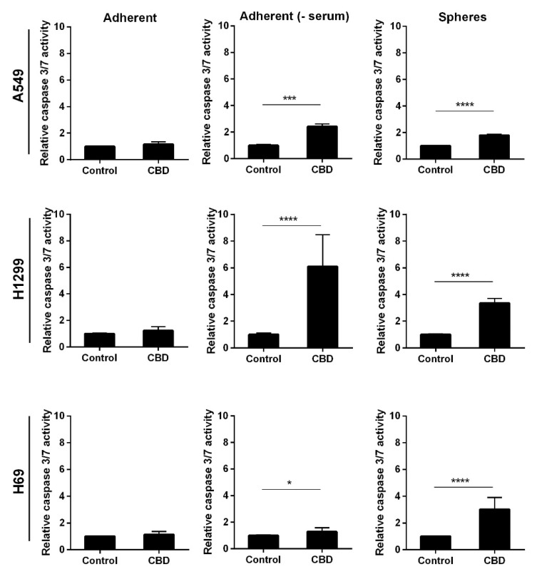 CBD activates caspase 3/7. Adherent cells in the presence and absence of serum or as spheres were incubated with 10 µM CBD for 24 h, and the activity of caspase 3/7 was measured by luminescence. The results were normalized to control cells and are shown as the mean ± SD of three independent experiments. * p < 0.05, *** p < 0.001; **** p < 0.0001 compared to control cells as determined by t test.
