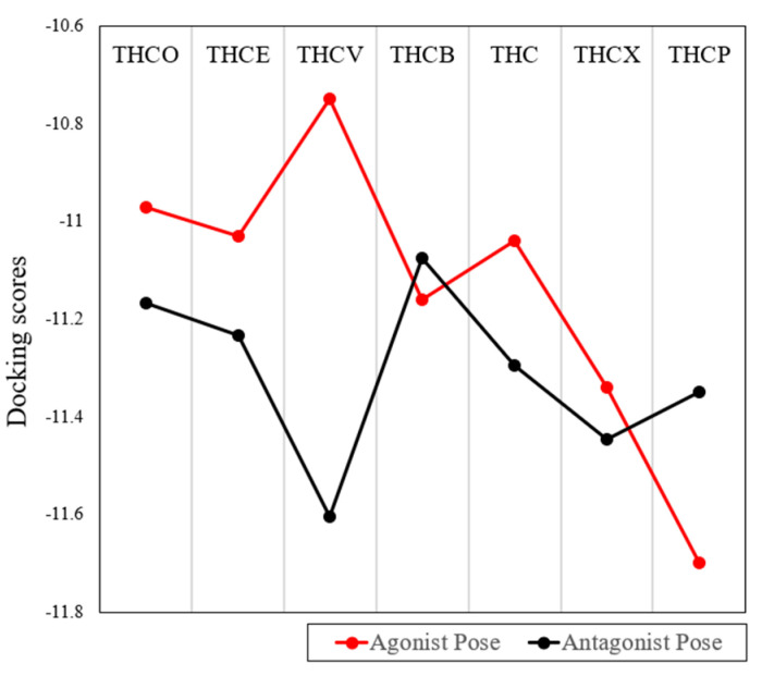 Changes in docking scores of agonist and antagonist pose in a series of THC-based molecules with various alkyl chain lengths. Docking scores are presented in kcal/mol.