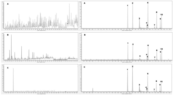 Representative baseline-scaled extracted ion chromatogram of the pooled blank matrix (on the left) of oral fluid (A), urine (B), and whole blood (C) compared to the extracted ion chromatogram of the spiked matrix at the Limit of Quantification for all the target analytes (on the right). Legend: (1) 9(R)-HHC; (2) 9(S)-HHC; (3) 9αOH-HHC; (4) 8(R)OH-9(R)-HHC; (5) 9βOH-HHC; (6) 8(S)OH-9(S)HHC; (7) 11OH-9(R)HHC; (8) 11OH-9(S)HHC; (9) 11nor-carboxy-9(R)-HHC; and (10) 11nor-carboxy-9(S)-HHC.