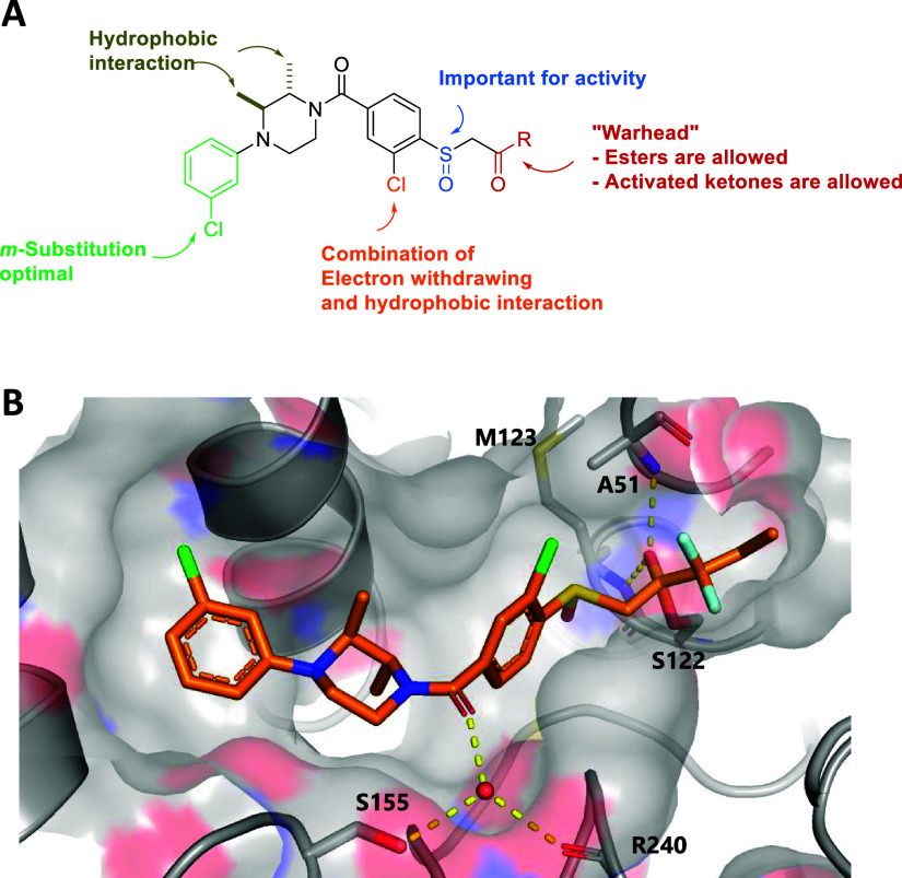 (A) Overall structure–activity relationship. (B) X-ray structure of (2S,3S)-isomer of LEI-515 bound to hMAGL (1.55 Å resolution, PDB: 8AQF).28LEI-515 binds to MAGL through covalently reversible mechanism and the deprotonated hemiketal forms two hydrogen bounds (yellow dotted line) with A51 and M123.