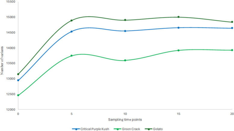 Temporal progression of single nucleotide polymorphisms (SNPs) accumulation detected by 3D-GBS during 60 weeks of in vitro culture in three commercial cultivars