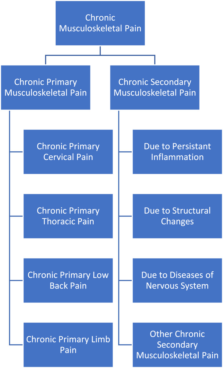 Classification of chronic musculoskeletal pain. The IASP (International Association for the Study of Pain) divided chronic musculoskeletal pain into two categories: chronic primary musculoskeletal pain and chronic secondary musculoskeletal pain. Primary musculoskeletal pain is considered its own condition (e.g., chronic low back pain). Secondary musculoskeletal pain arises from an underlying condition (e.g., pain associated with Parkinson’s disease or MS). Modified from [15, 81].