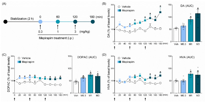 Mepirapim treatment-induced changes in levels of neurotransmitters in rat NAc. (A) Experimental schedule for microdialysis in the rat NAc. After baseline samples were collected, rats were treated with progressively increasing doses of Mepirapim (0.3, 1 and 3 mg·kg−1, i.p.) every hour (n = 5 per group). Each arrow represents a drug treatment. Concentration–time profiles and areas under the concentration–time curves (AUC) for (B) dopamine (DA), (C) 3,4-dihydroxyphenylacetic acid (DOPAC) and (D) homovanillic acid (HVA). Data are presented as means ± SEMs. Significant differences between the vehicle group and other groups are indicated by * p < 0.05.