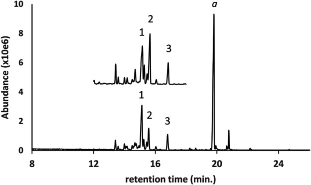 GC-MS chromatogram for a d9THC vaping liquid (peak label a, lower trace) in which a series of pine rosin acid methyl esters were identified, compared to a standard mix (upper trace, offset, condensed scale) of a partially hydrogenated methyl ester rosinate reference material with a methyl abietate standard. The predominant esters were identified as methyl dihydroabietate, methyl dehydroabietate, and methyl abietate (peak labels 1–3, respectively).