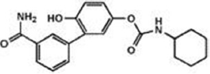 fnmol-10-00166-i0002.jpg