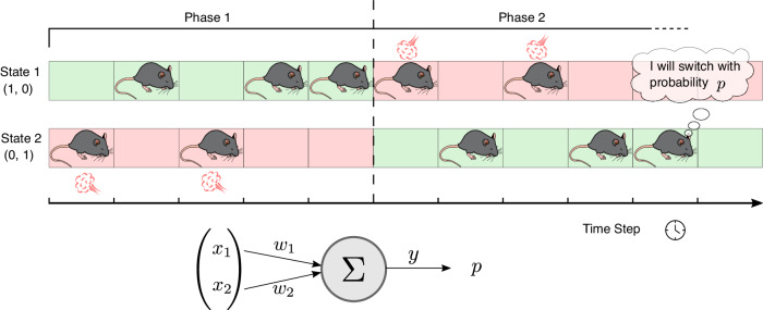 Simulation of the passive place-avoidance task.In our simulation of the experiment, we simplify the movement of the mouse as a transition between two locations (State 1 and State 2 in the figure), one of which is associated with a punishment (red background). The simulation is divided into two phases. During the first phase, State 2 is punishing, while in the second phase, the punishment is moved to State 1. At each time step, the agent mouse decides whether to stay in the current state or to switch. The decision is based on the current state, represented by a one-hot encoding state vector, and on the information the agent-mouse has about the states, encoded in the weights w1 and w2 of a single action unit. The integration of the state vector with the synaptic weights determines the activity y of the unit, which in turn determines the probability p of switching state.