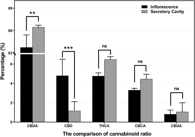 Comparison of the percentage of acidic and neutral cannabinoids of inflorescence extracts and secretory cavity contents. Data was analyzed using two-way ANOVA. **p < 0.01, ***p < 0.001, ns: not significant (p > 0.05).