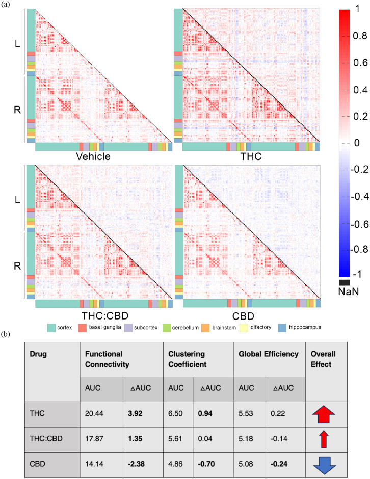 This image presents a graph theory analysis of functional connectivity between 152 brain regions, comparing the effects of vehicle, THC, THC:CBD, and CBD on connectivity, as well as the impact on global graph theory metrics like AUC. The heat maps illustrate pairwise correlations between regions, with specific colors denoting different brain areas. The summary table highlights significant changes in AUC values, indicating the strength of drug effects on brain networks.