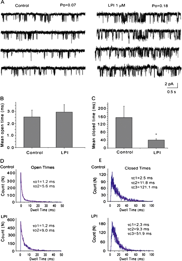 Effect of LPI on the kinetic properties of IKCa channels. a Representative single-channel recording in inside-out patch containing one active channel exposed to 1 μM Ca2+ prior (Control) and during the exposure to 1 μM LPI at the cytosolic side of the patch at a holding potential of −80 mV. Channel openings are shown as downward deflections. b The mean open time of the IKCa prior (Control) and after addition of 3 μM LPI (n = 9). c The mean closed time (frequency of openings) of the IKCa prior (Control) and after addition of LPI (n = 9). *P < 0.05 vs. control. d Open time histograms in the absence (Control) and presence of 1 μM LPI. In both cases, the open time was fitted to two exponentials (τo1 and τo2). LPI did not affect τo1 and slightly increased τo2. e Closed time histograms in absence (Control) and presence of 1 μM LPI. In both cases, the closed time was fitted to three exponentials (τc1, τc2, and τo2). LPI did not affect τc1, slightly decreased τc2, and strongly decreased τc3