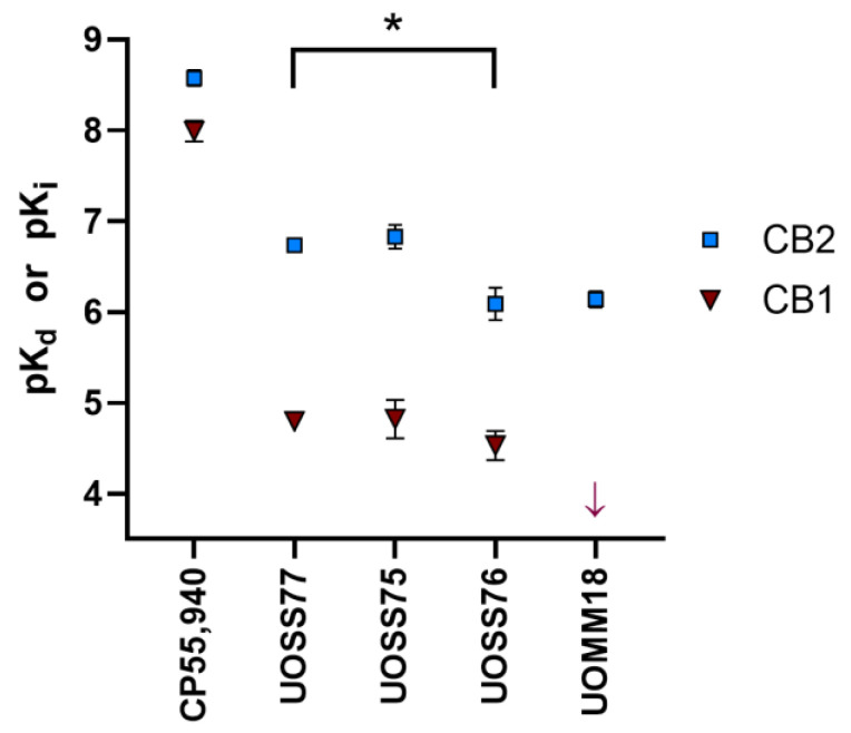 Binding affinities of compounds of interest at human CB2 or CB1 determined from radioligand competition binding assays (pKd for CP55,940, pKi for other compounds). Data are mean ± SEM from three to four independent experiments, except for UOSS75 at CB1 (n = 2). CB1 pKi values for all compounds, other than CP55,940, are estimates (see main text and Table 1). The arrow for UOMM18 in the CB1 set indicates no detectable binding to the lowest possible affinity constant measurable in our assay (pKi < 4). CB2 affinity was statistically compared between UOSS77 and its novel derivatives; * represents p < 0.05.