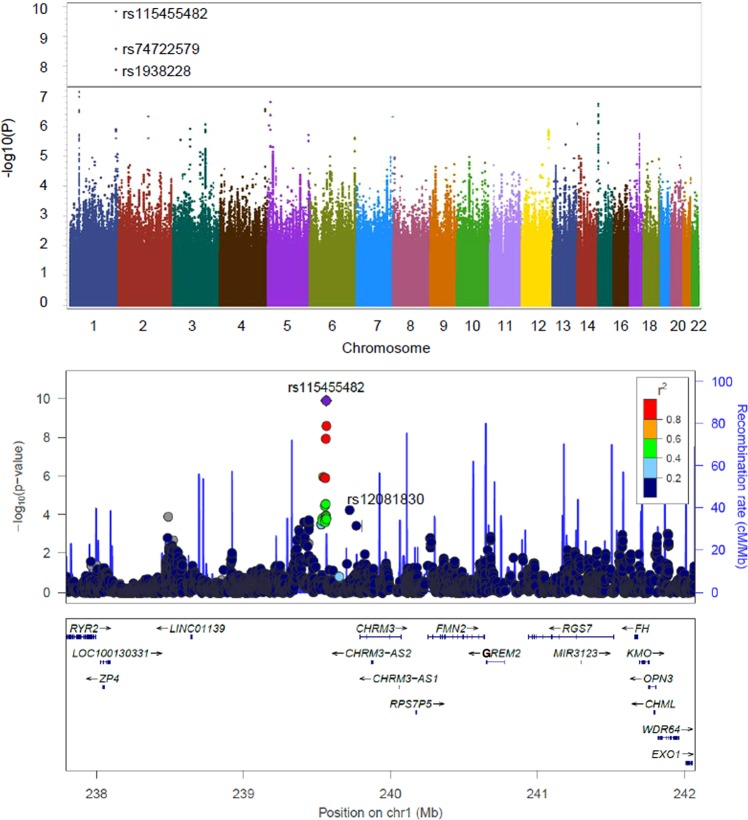 Manhattan plots showing genome-wide association signals of cannabis-induced hallucinations in long-term cannabis-exposed European Americans (EAs) by meta-analysis.a Manhattan plot with three significant variants, rs115455482, rs74722579, and rs1938228, on chromosome 1, in a meta-analysis of two EA cohorts. The three variants are in high linkage disequilibrium (all r2 ≥ 0.95) in EAs. The line in the plot represents the genome-wide significance cutoff (5 × 10−8). b Regional Manhattan plot demonstrates rs115455482 is close to gene CHRM3 (and regulates CHRM3 expression; see Fig. 2 and text). According to a published schizophrenia genome-wide association study36, these top three SNPs associated with cannabis-induced hallucinations were not significantly associated with schizophrenia (all associations P ~ 0.25); one SNP rs12081830, associated with cannabis-induced hallucination (P = 8.5 × 10−5), was nominally associated with schizophrenia (P = 4.3 × 10−2). rs115455482 and rs12081830 are not highly linked with each other (r2 < 0.2 in EAs). The light blue line and right Y-axis show the observed recombination rate in the 1000 Genomes Project European samples (EUR, hg19). The SNPs are colored in accordance to r2 with rs115455482.