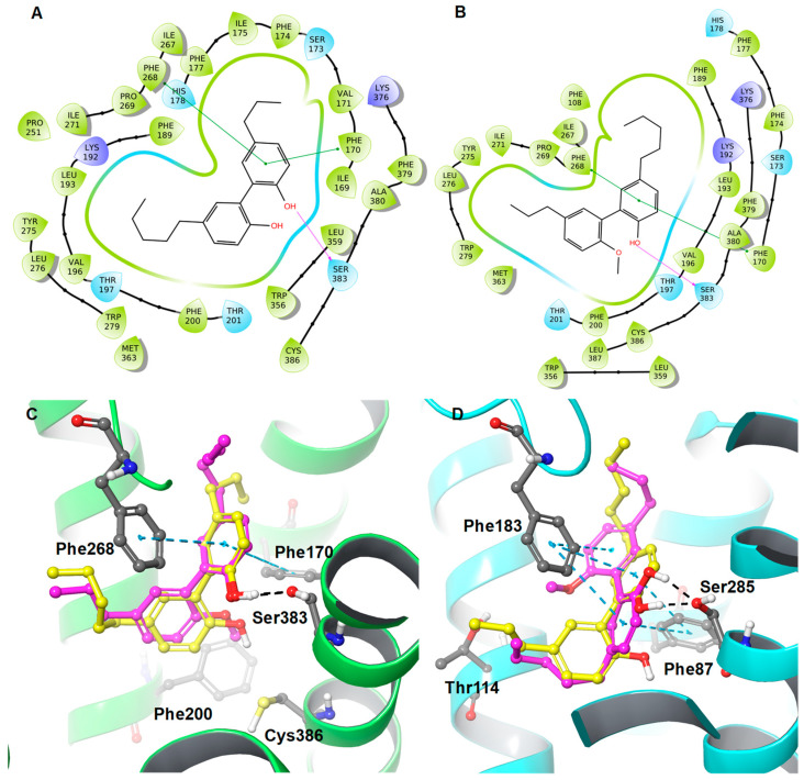 2D interaction diagrams of (A) 5 and (B) 5a along with the 3D overlaid representations of (C) 5 (carbon in yellow) with 5a (carbon in magenta) against the CB1R and (D) 5 (carbon in yellow) with 5a (carbon in magenta) against the CB2R. The key residues are shown in the ball and stick model (carbon in grey).