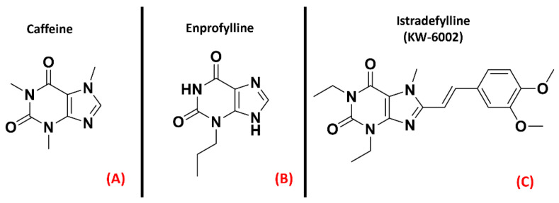The chemical structures of the non-selective adenosine receptors antagonistscaffeine (A) and Enprofylline (B), and the selective A2AAR antagonist Istradefylline (C).