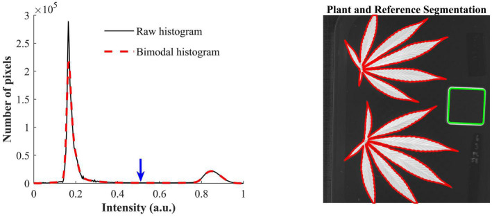 (Left) Raw histogram and bimodal histogram of a contrast-optimized normalized band difference image (Figure 3). The blue downward arrow indicates the optimal threshold that corresponds to the mean position of the two peaks of the bimodal histogram that is obtained by iteratively smoothing the raw histogram until it is bimodal. (Right) Segmentation of hemp leaves and a reference using the optimal threshold.